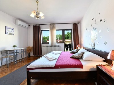 Apartment One bedroom apartment with balcony Rakovica, Plitvice A-20647-a in Rakovica - Apartment
