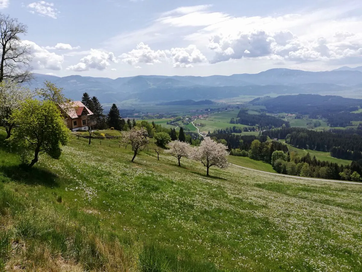 Holiday house Ferienhaus Hochfelner