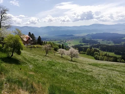 Holiday house Ferienhaus Hochfelner in St. Marein bei Knittelfeld - Holiday house