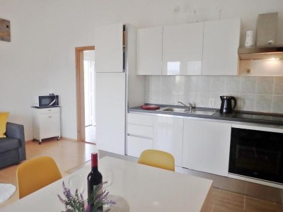 Apartment Two bedroom apartment with balcony and sea view Seline, Paklenica A-21208-b - Outdoor photo 15