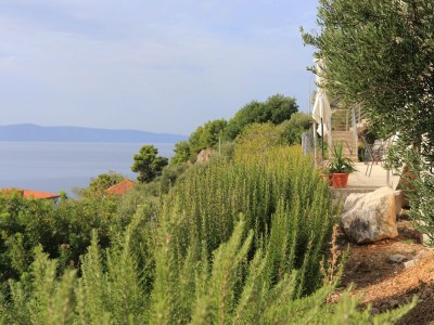 Apartment One bedroom apartment with terrace and sea view Podgora, Makarska A-21817-a - Outdoor photo 12