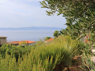 Apartment Studio flat with terrace and sea view Podgora, Makarska AS-21817-b - Outdoor photo 15