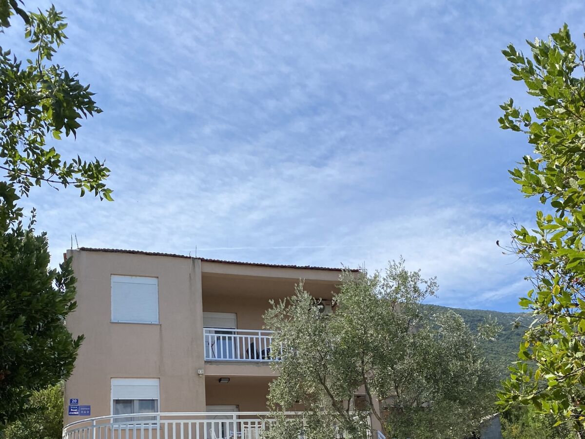 Apartment One bedroom apartment with balcony and sea view Cove Osobjava, Pelješac A-21944-a