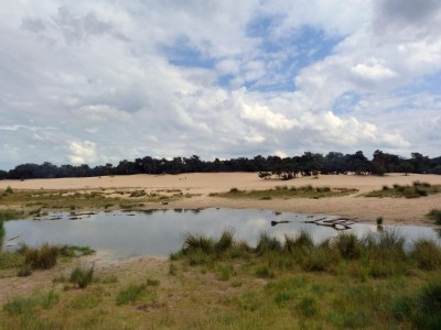 Holiday park Chalet nahe Loonse und Drunense Duinen - Environment photo 21