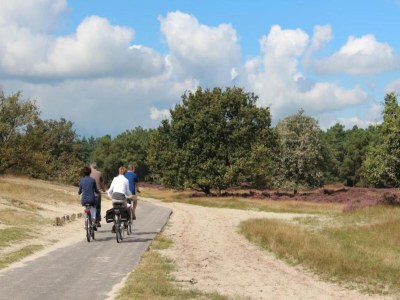 Holiday park Chalet nahe Loonse und Drunense Duinen - Environment photo 29