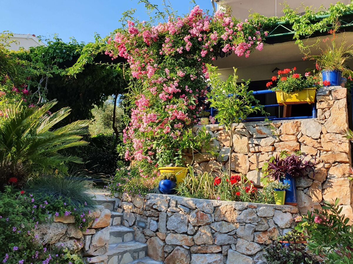 Apartment Studio flat near beach Murter AS-22397-c - Outdoor photo 5