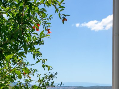Apartment One bedroom apartment with balcony and sea view Seget Donji, Trogir A-23273-b - Outdoor photo 11