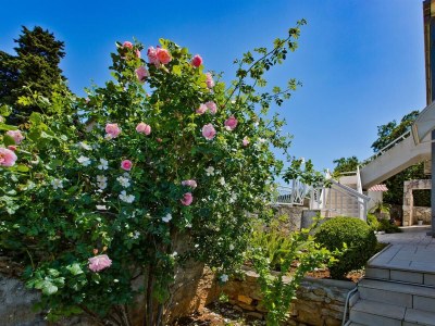 Apartment One bedroom apartment with terrace Hvar A-23674-a - Outdoor photo 6