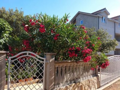Apartment One bedroom apartment with terrace Rudina, Hvar A-23777-a - Outdoor photo 10