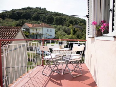 Apartment One bedroom apartment with terrace Lukoran, Ugljan A-17391-a - Outdoor photo 14