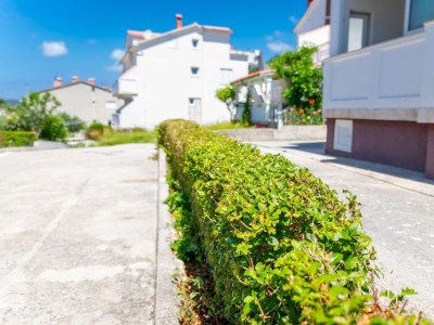 Apartment One bedroom apartment with terrace Rab A-24367-c - Outdoor photo 6