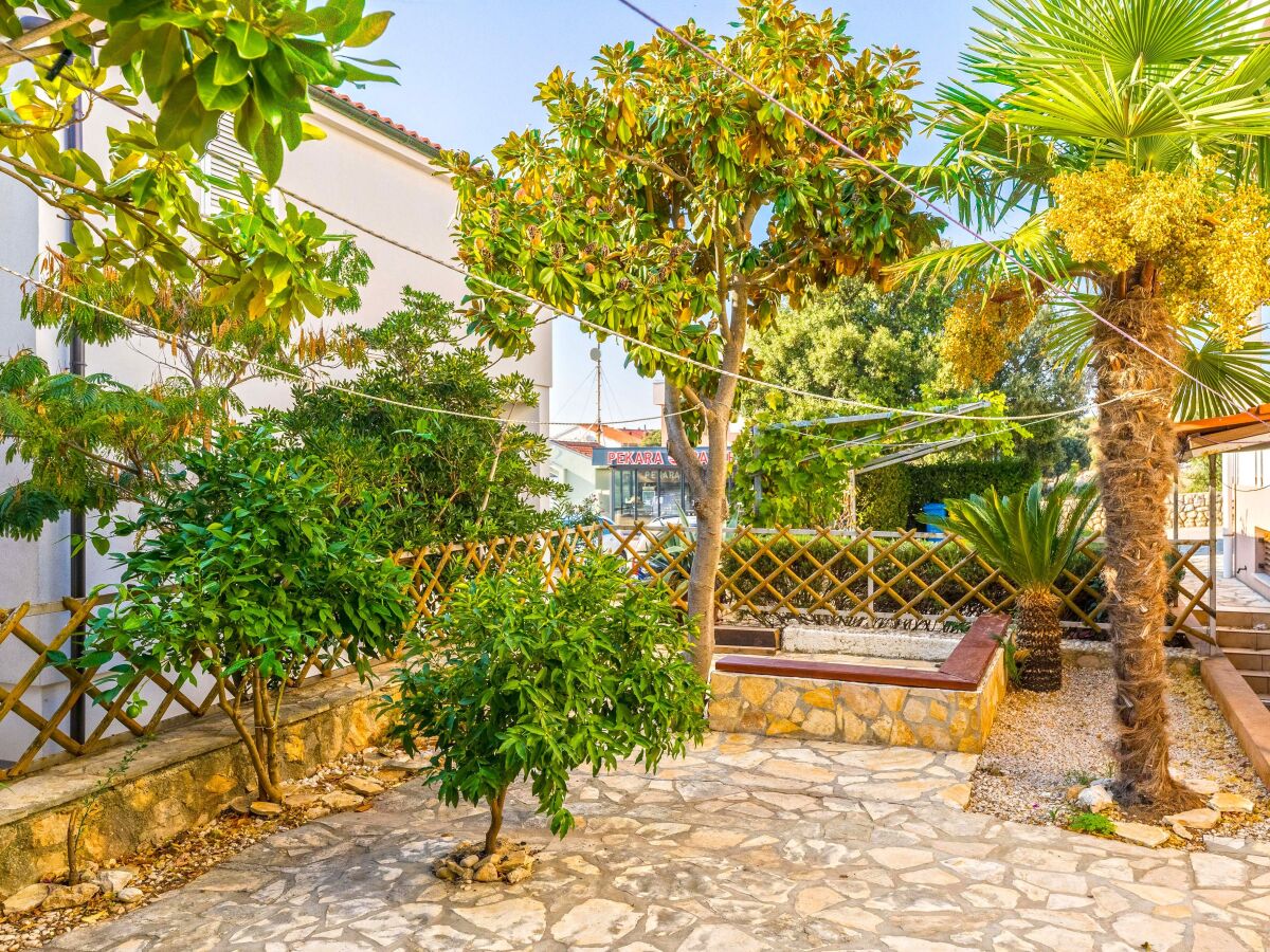Apartment One bedroom apartment with terrace Mandre, Pag A-24492-b - Outdoor photo 5