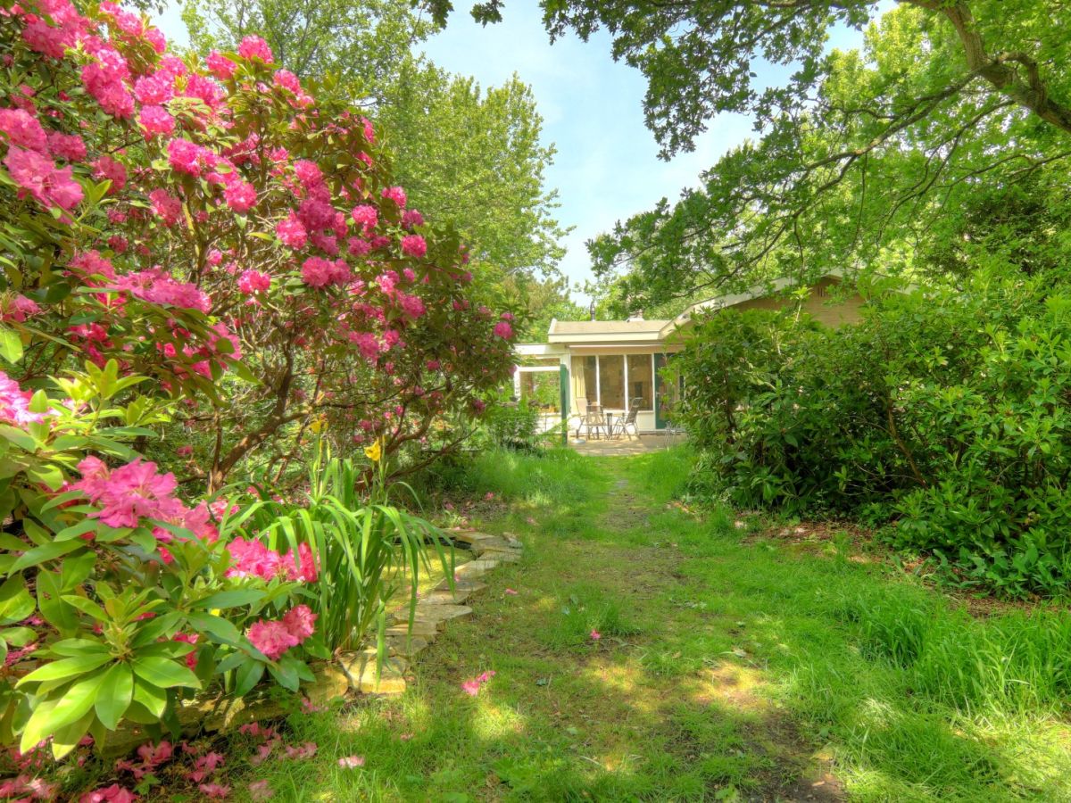 Bungalow 't Vogelbergje - CaliforniÃ«weg 515