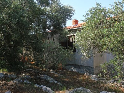 Apartment Two bedroom apartment near beach Cove Magrovica - Telašćica, Dugi otok A-8139-b - Outdoor photo 6
