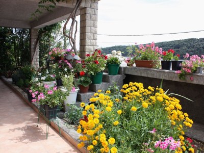 Apartment One bedroom apartment with terrace and sea view Kampor, Rab A-4984-b in Rab - Apartment