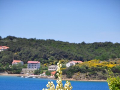 Apartment One bedroom apartment with terrace and sea view Supetarska Draga - Gornja, Rab A-5055-a - Outdoor photo 5