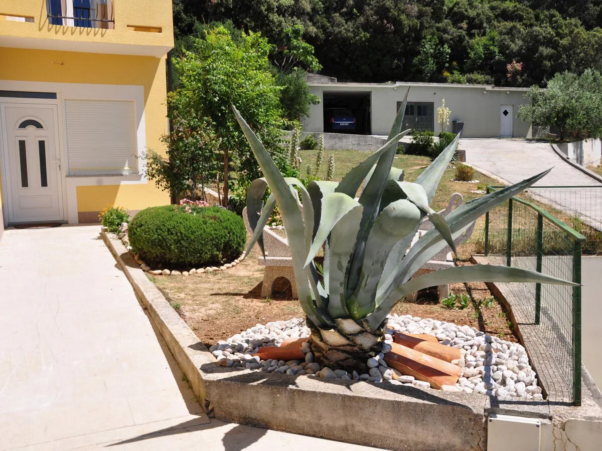 Apartment Studio flat with terrace and sea view Supetarska Draga - Gornja, Rab AS-5055-a - Outdoor photo 4