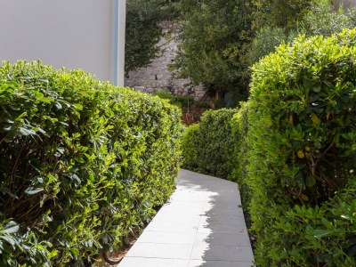 Apartment Two bedroom apartment with terrace Dubrovnik A-4732-c - Outdoor photo 13