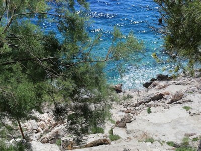 Apartment Two bedroom apartment near beach Dingač - Potočine, Pelješac A-4533-a - Outdoor photo 11