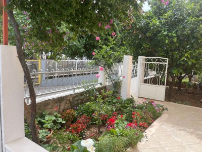 Apartment One bedroom apartment with terrace Orebić, Pelješac A-4527-b - Outdoor photo 6