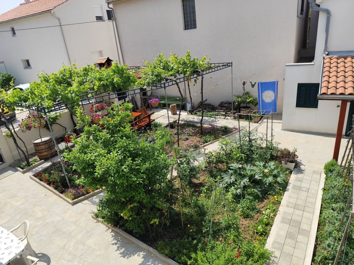 Apartment One bedroom apartment with terrace Murter A-5089-a - Outdoor photo 4