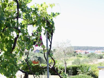 Holiday room (pet friendly) Barbat, Rab S-5070-c - Outdoor photo 7