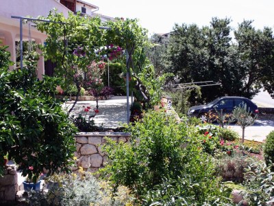 Holiday room (pet friendly) Barbat, Rab S-5070-c - Outdoor photo 9