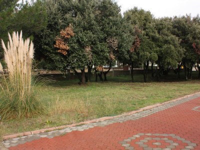 Apartment Two bedroom apartment near beach Vrsi - Mulo, Zadar A-5951-b - Outdoor photo 12