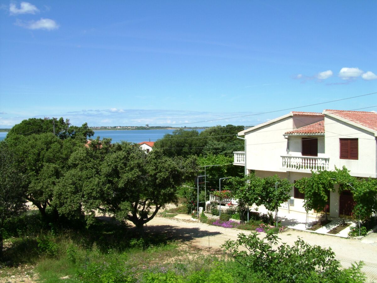 Apartment Four-bedroom apartment with terrace and sea view Vrsi - Mulo, Zadar A-5791-b - Outdoor photo 4