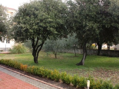 Apartment Two bedroom apartment near beach Vrsi - Mulo, Zadar A-5951-f - Outdoor photo 7