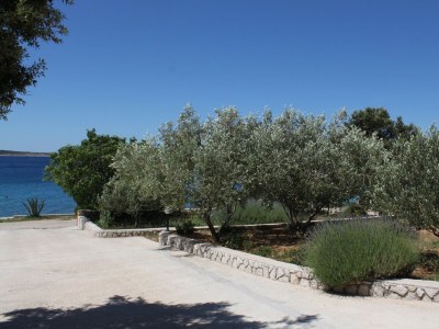 Apartment One bedroom apartment near beach Mandre, Pag A-6284-b - Outdoor photo 11