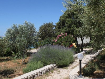 Apartment One bedroom apartment near beach Mandre, Pag A-6284-d - Outdoor photo 12