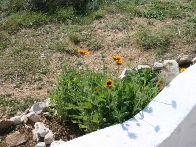 Apartment One bedroom apartment with terrace and sea view Bošana, Pag A-6460-b - Outdoor photo 13