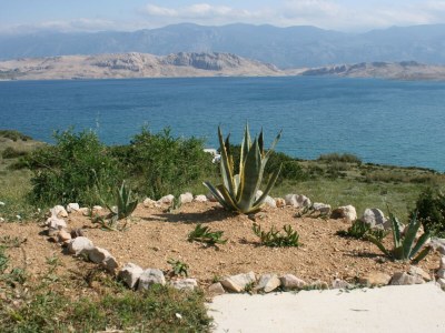 Apartment One bedroom apartment with terrace and sea view Bošana, Pag A-6460-c - Outdoor photo 7