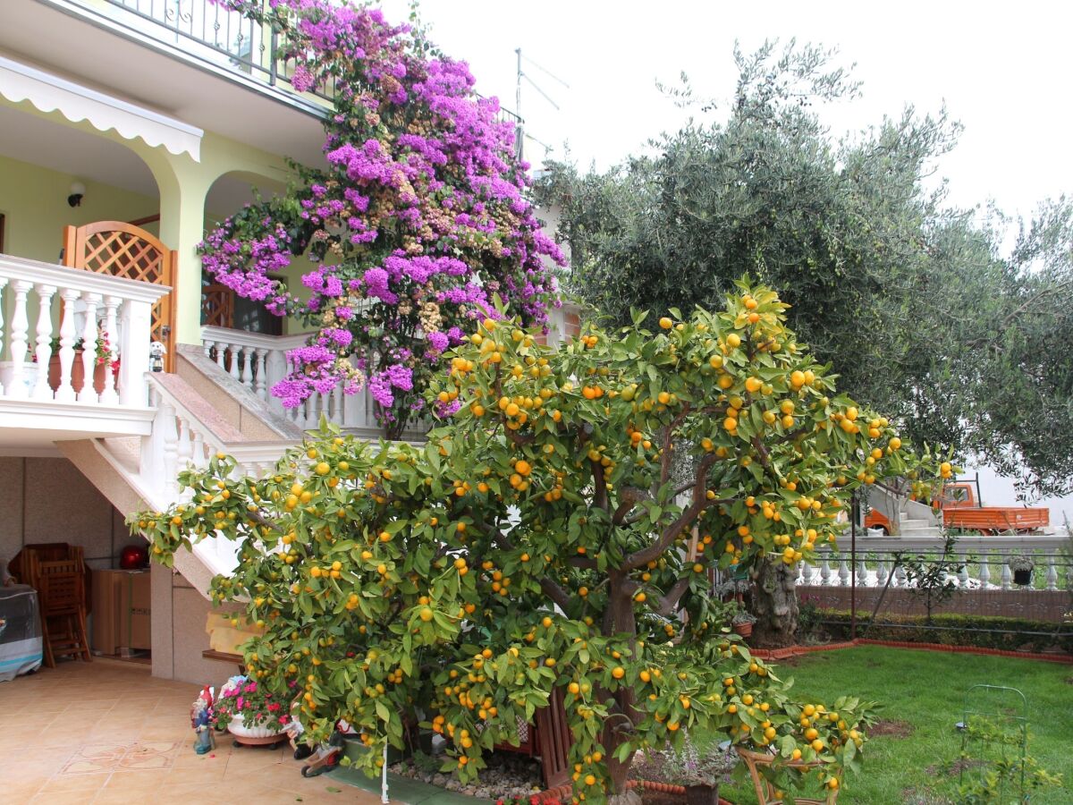 Apartment Two bedroom apartment with balcony and sea view Vodice A-6271-e - Outdoor photo 3