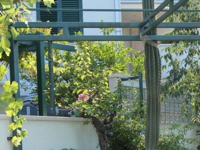 Apartment One bedroom apartment with balcony and sea view Makarska A-6632-a - Outdoor photo 10