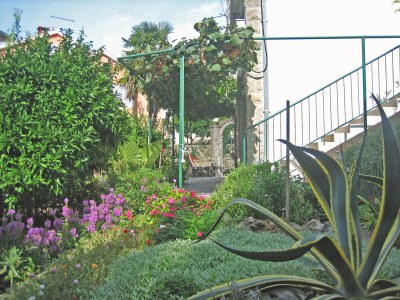 Apartment Two bedroom apartment with terrace Podgora, Makarska A-6664-b - Outdoor photo 12