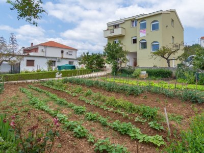 Apartment Three bedroom apartment with terrace and sea view Posedarje, Novigrad A-6190-a - Outdoor photo 2