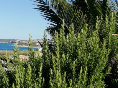 Apartment Studio flat with terrace and sea view Kustići, Pag AS-6392-a - Outdoor photo 10