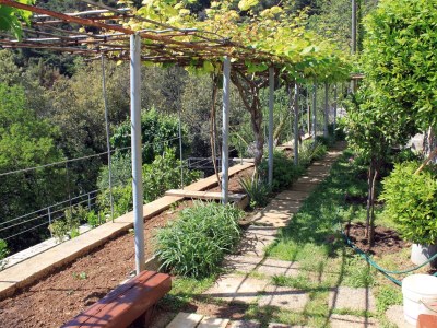 Apartment Two bedroom apartment with terrace and sea view Rabac, Labin A-6414-a - Outdoor photo 6