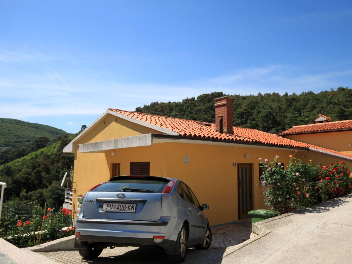 Apartment Two bedroom apartment with terrace and sea view Rabac, Labin A-6414-b