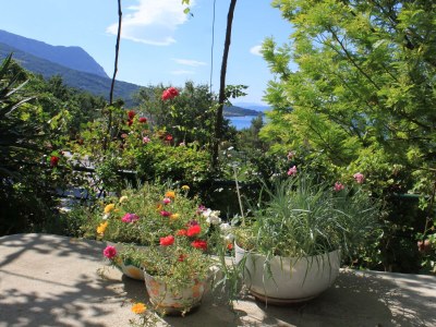 Apartment Studio flat with balcony and sea view Tučepi, Makarska AS-6901-b - Outdoor photo 4