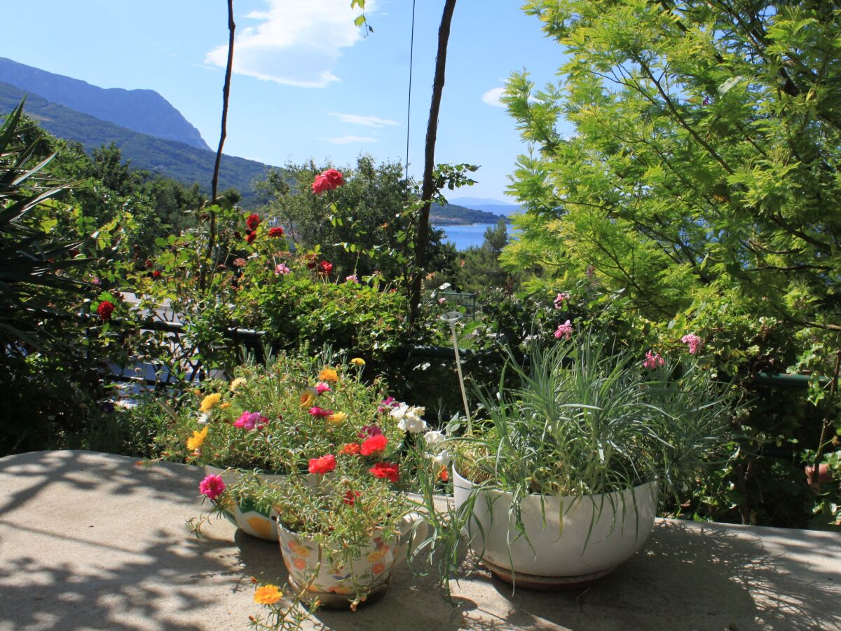 Apartment Studio flat with balcony and sea view Tučepi, Makarska AS-6901-c - Outdoor photo 4