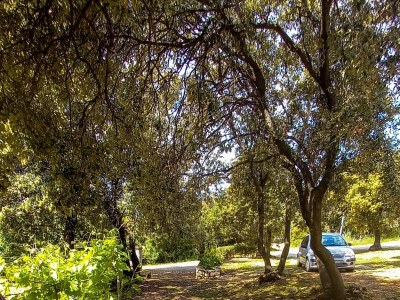 Apartment Two bedroom apartment near beach Cove Mulobedanj, Pag A-6275-a - Outdoor photo 15