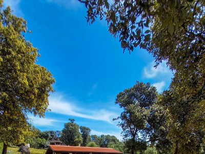 Apartment One bedroom apartment near beach Cove Mulobedanj, Pag A-6275-d - Outdoor photo 7