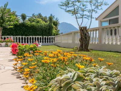 Apartment One bedroom apartment with terrace and sea view Podaca, Makarska A-6736-a - Outdoor photo 8