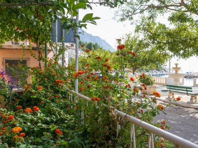 Apartment One bedroom apartment near beach Podgora, Makarska A-6846-b - Outdoor photo 7