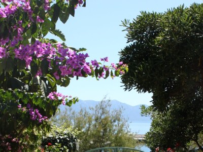 Holiday room near beach Sućuraj, Hvar S-6734-b - Outdoor photo 8