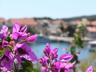 Holiday room near beach Sućuraj, Hvar S-6734-d - Outdoor photo 9
