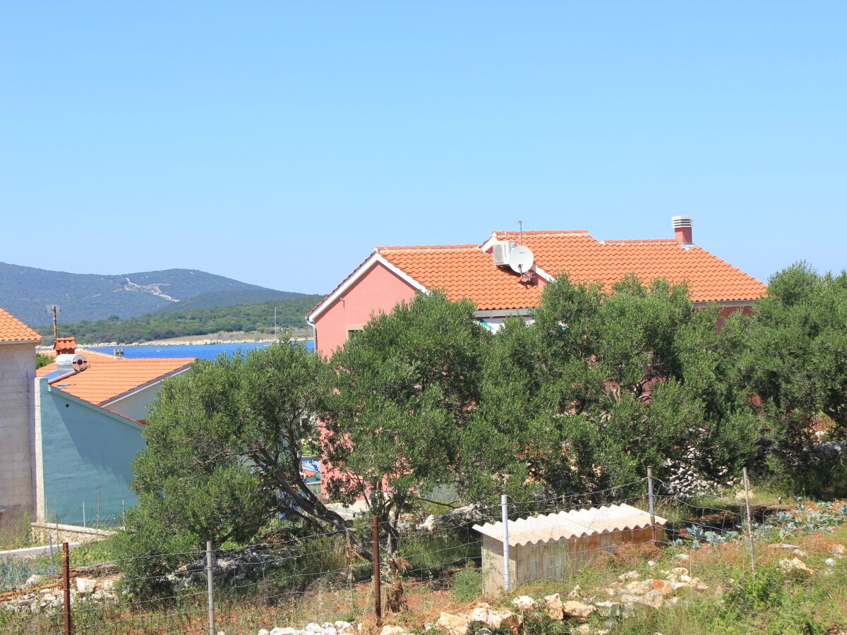 Apartment One bedroom apartment with terrace and sea view Ilovik, Lošinj A-8069-a - Outdoor photo 3